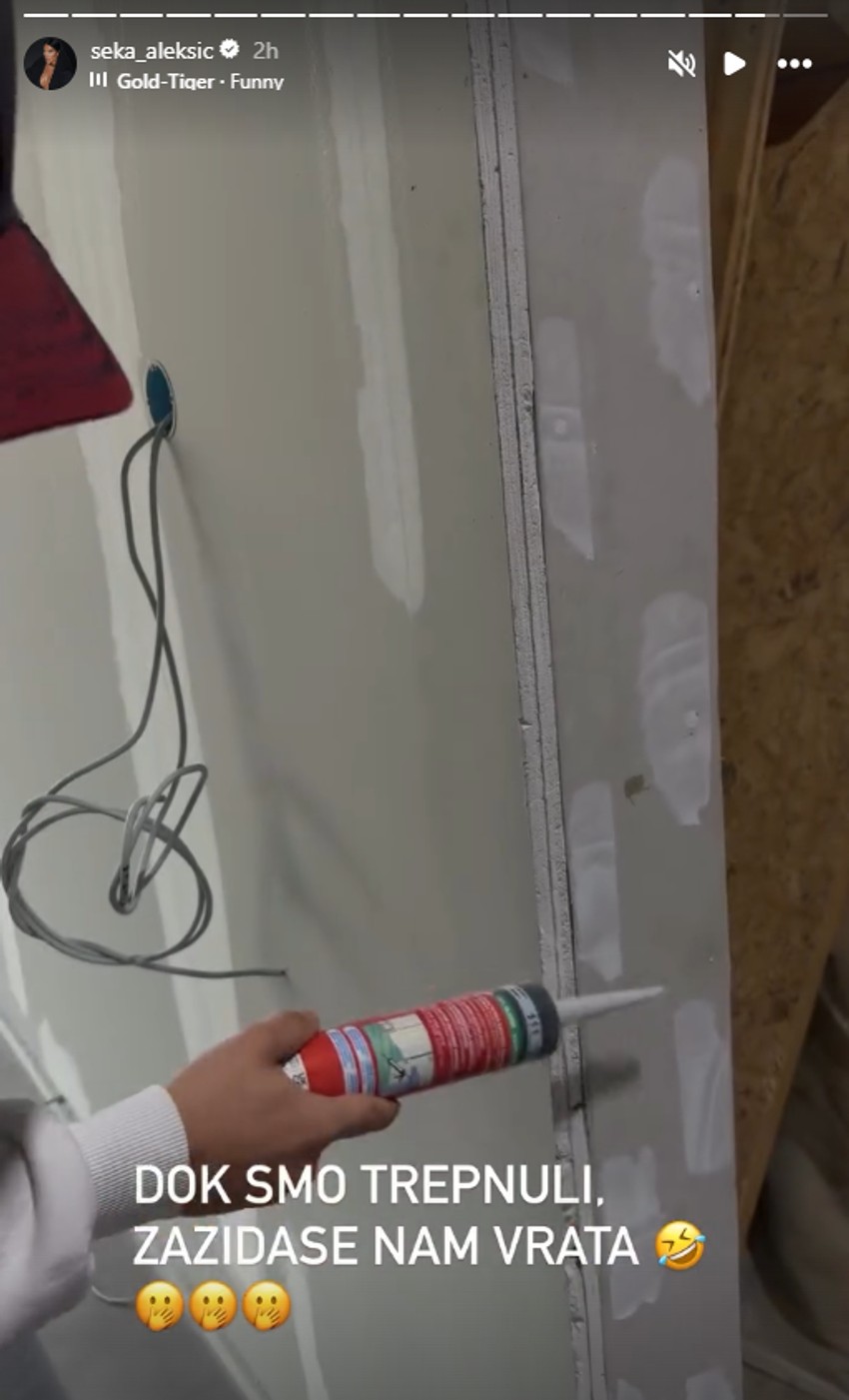 Seka Aleksić, objava