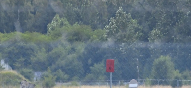 Samolot Bielik M346 rozbił się w Gdyni. Zginął pilot
