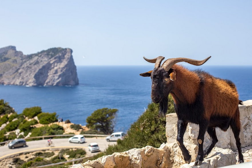 Cap de Formentor