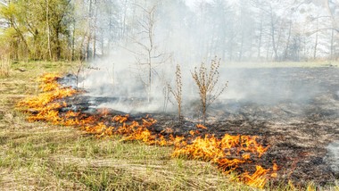już nie 5 tys. zł, a 30 tys. zł kary. chwila nieuwagi może słono koszt