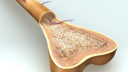 czy hydrożel stanie się implantem kostnym przyszłości?