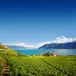 Lavaux, Szwajcaria