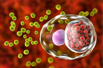A legújabb Chlamydia-tesztek már a vizeletmintából kimutatják a kórokozót, de olyan teszt is létezik, amelyet a hüvelybe helyezés után kell egy megfelelő tartóeszközbe helyezve a laboratóriumba küldeni, hogy ott az így levett kenetből tenyésztést végezhessenek. 