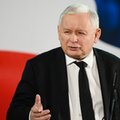 Kaczyński mówi o przejęciu Żabki. Sieć zabiera głos