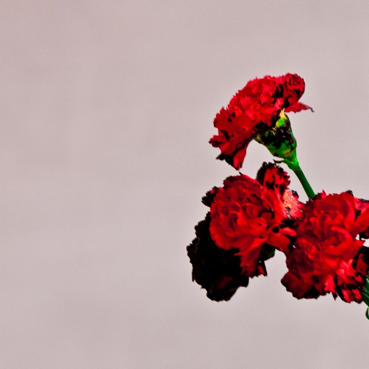 John Legend "Love In The Future" - recenzja