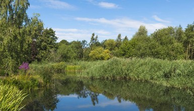 To nie brak wody i dostępność wody są w Polsce problemem, ale jej jakość [Raport]