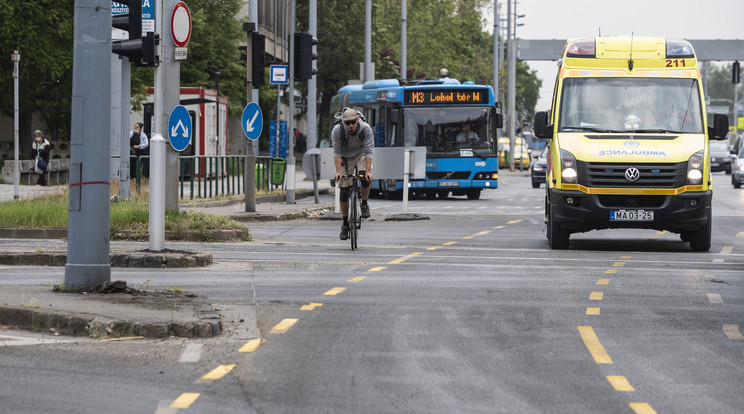 A Józsefvárosban is sebességkorlátozást vezettek be az új biciklisáv miatt, sokaknak meggyűlik a baja azzal is, hogy rengeteg parkolóhely tűnt el. / Fotó: MTI/Mónus Márton