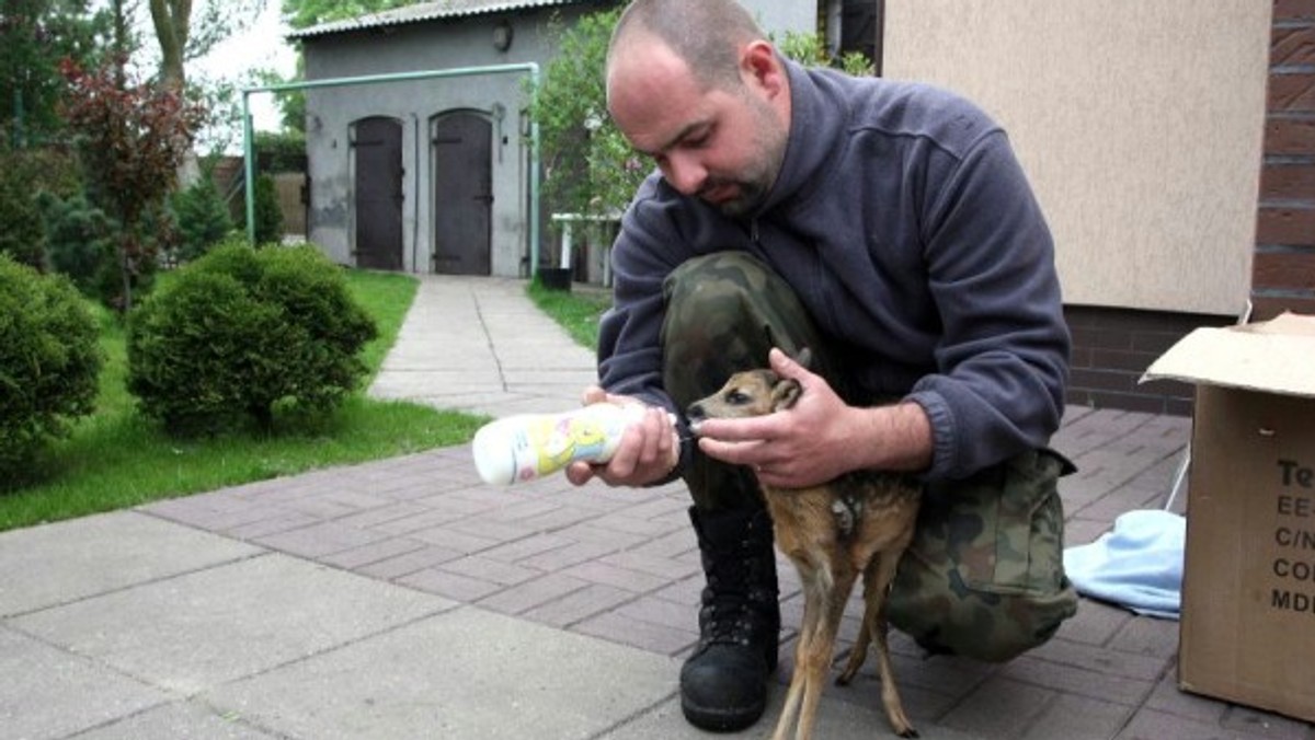 Ośrodek rehabilitacji dzikich zwierząt w Wielgowie stara się o pomoc od miasta na bieżącą działalność. W tej sprawie zwrócił się do radnych. Rajcy poparli wniosek.