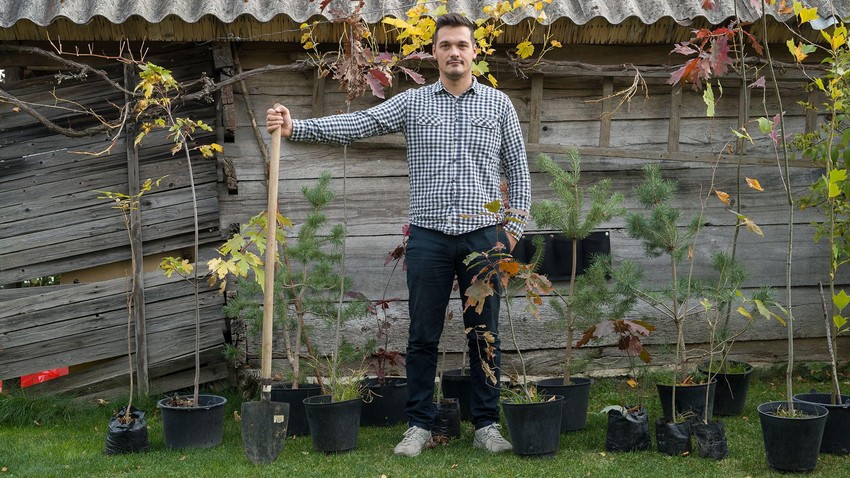 Drveće čeka da bude presađeno