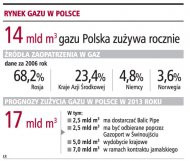 Rynek gazu w Polsce