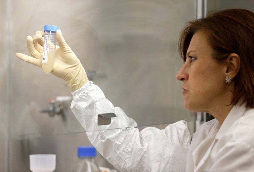 Neophodne su analize da se utvrdi da li su virusi u pitanju