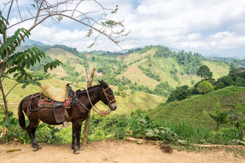 Góry Sierra Nevada de Santa Marta