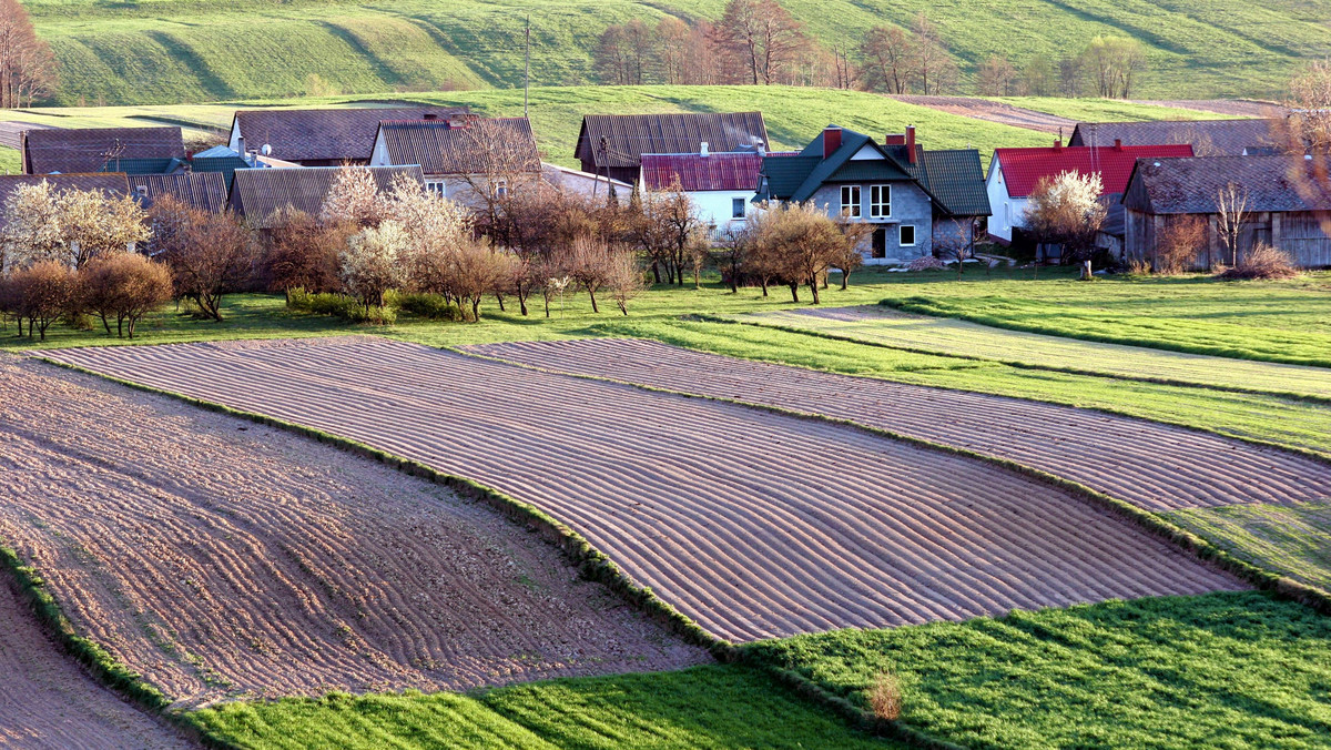 W 2012 roku w woj. lubuskim średnia cena gruntu rolnego w zasobach Agencji Nieruchomości Rolnych ukształtowała się na poziomie 12 tys. 714 zł za 1 hektar i należała do najniższych w kraju. Była niższa o prawie 8 tys. zł od średniej ceny w Polsce.