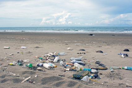 Nawet 5 tys. zł grzywny za śmiecenie na plaży. Ministerstwo Klimatu chce drastycznego podniesienia kar