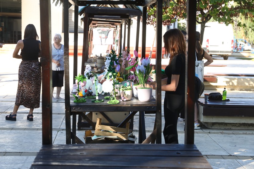 Knjaževac Expo karavan