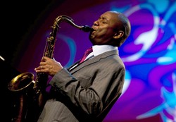 Cały ten jazz... – muzyka, która nie przynosi sławy i pieniędzy?