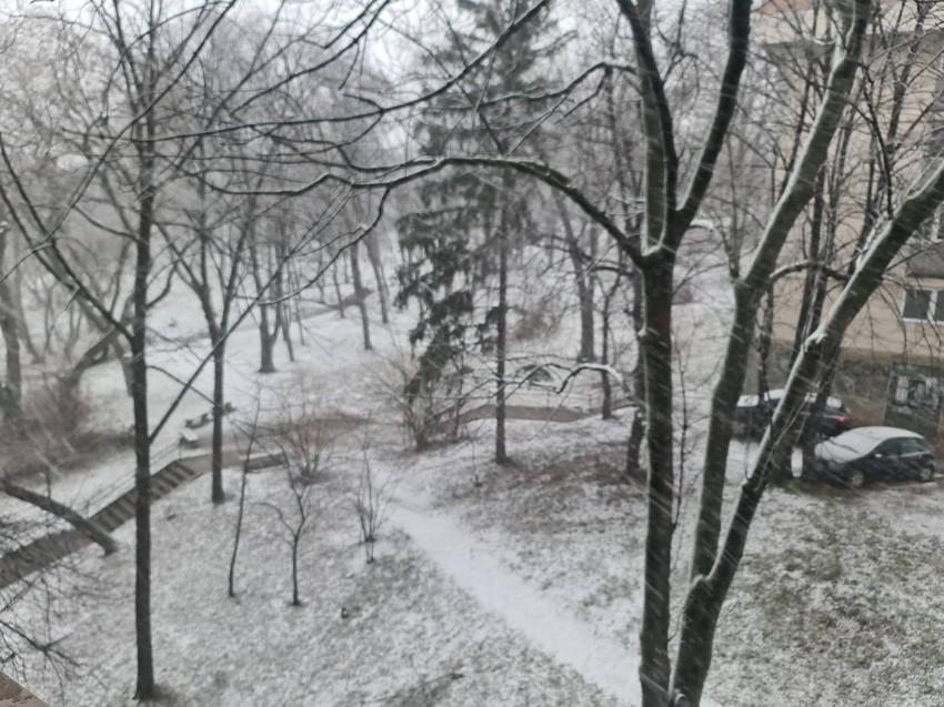 Zabelelo se na Banovom Brdu 