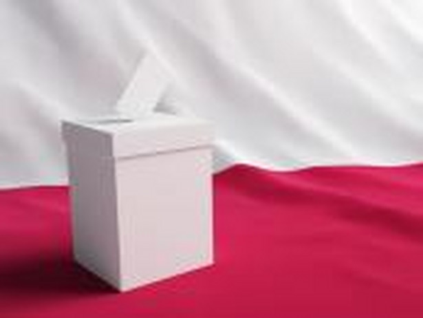 Wybory samorządowe odbędą się 16 listopada
