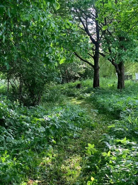 &quot;Mazury są piękne nie tylko nad wodą, gdzie jest coraz bardziej tłoczno&quot;