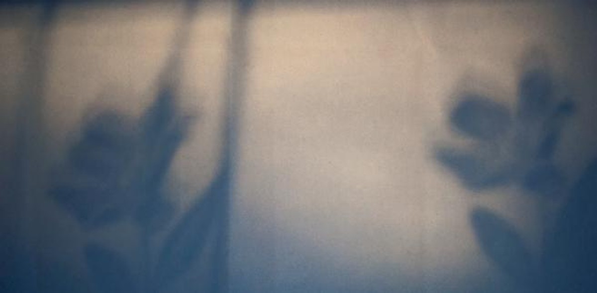 Anna Gadt "Breathing" - recenzja