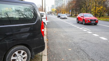 Właściciel zostawił w aucie psa na 13 godzin. Zwierzę uratowali sąsiedzi