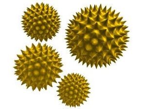pollen-d000000E6c68938d8b75e