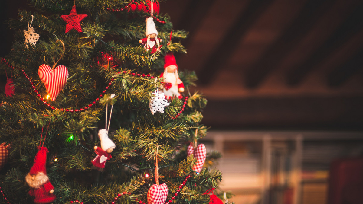 Bożonarodzeniowa choinka wywodzi się z symboliki drzewa w Raju, z którego wypędzeni zostali Adam i Ewa, a światła na choince symbolizują Jezusa, który przywraca możliwość powrotu – wyjaśnia historyk wczesnego chrześcijaństwa ks. prof. Józef Naumowicz.