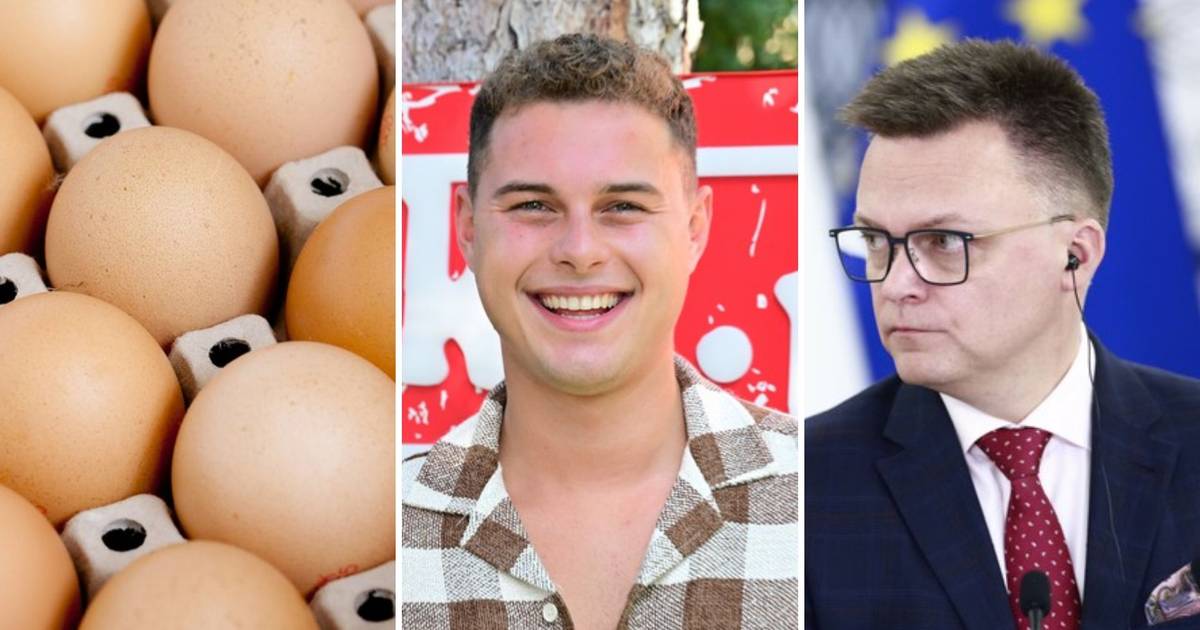 Prawda czy fałsz? 15 nieoczywistych pytań, które zmuszą cię do googlowania!