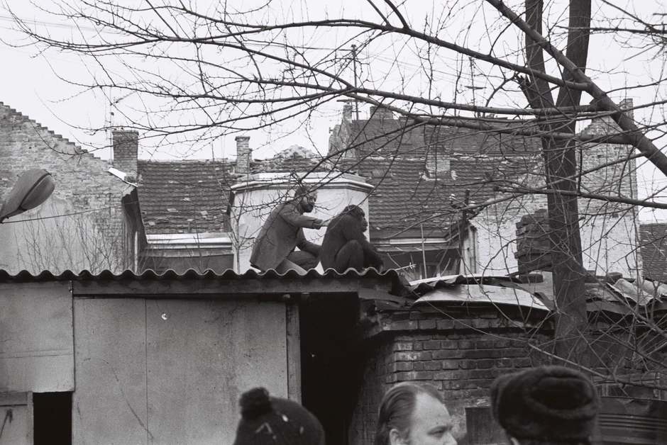 Vuk Bojović ubeđuje Samija da siđe sa krova i krene sa njim nazad u Zoo vrt