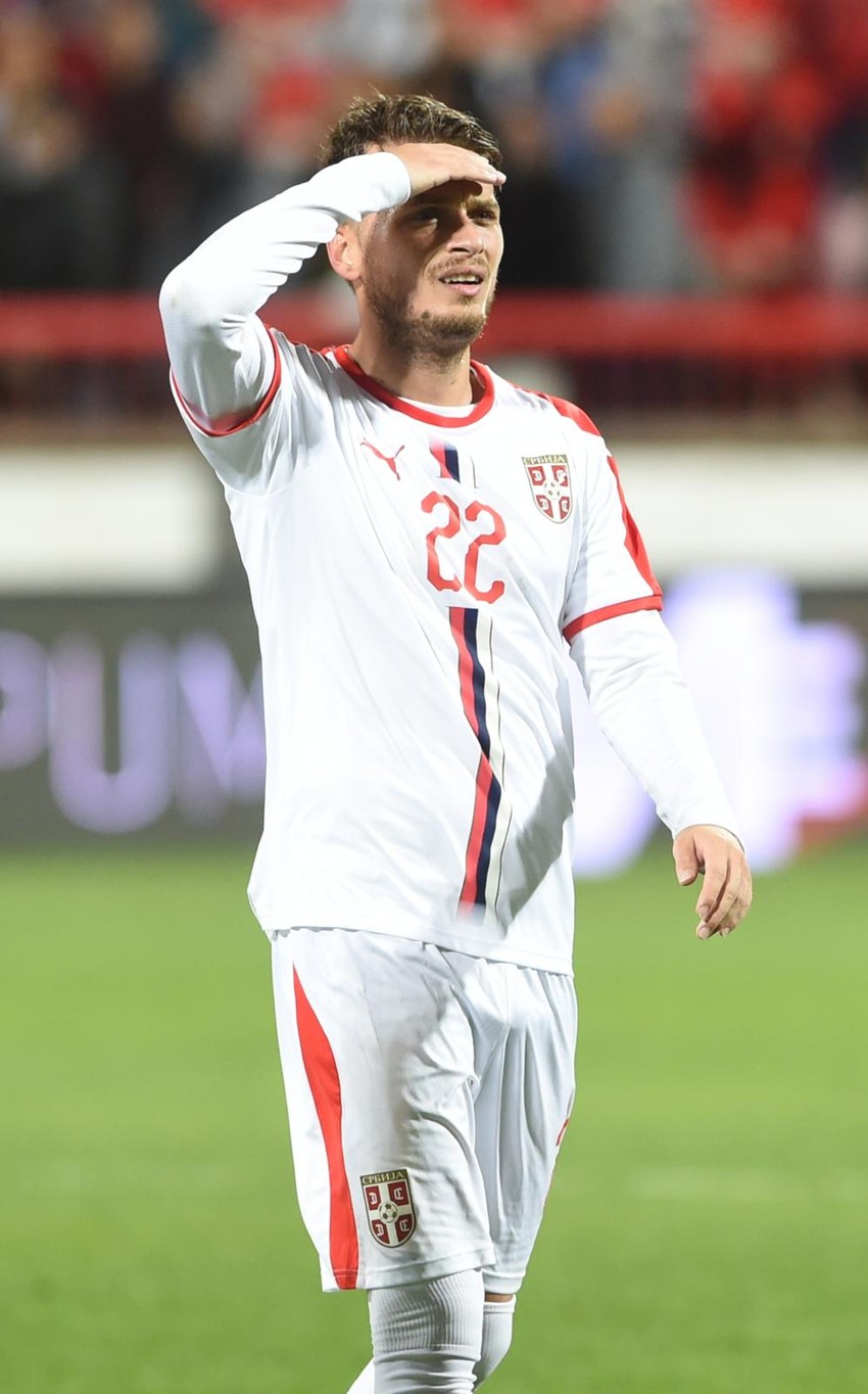 Adem Ljajić