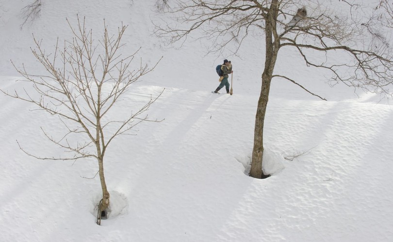 Hidetoshi Matsubara. Ostatni sokolnik w Japonii