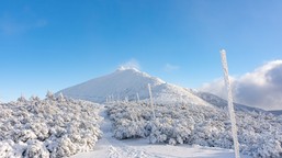 Wielki i trudny quiz z polskich gór. Najwyższy szczyt punktacji tylko dla mistrza