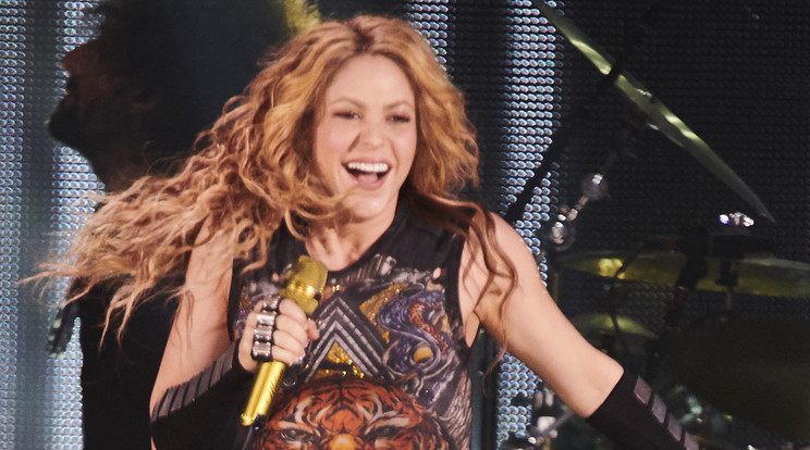 Shakira tagadja a vádakat, mégis komoly összeget utalt át/Fotó:Northfoto