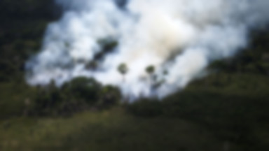 2 tys. nowych pożarów w Amazonii w ciągu 48 godzin. Pomimo zakazu wypalania gruntów