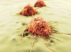 Nowa szczepionka ma zabijać raka. 'Przeprogramowaliśmy komórki'