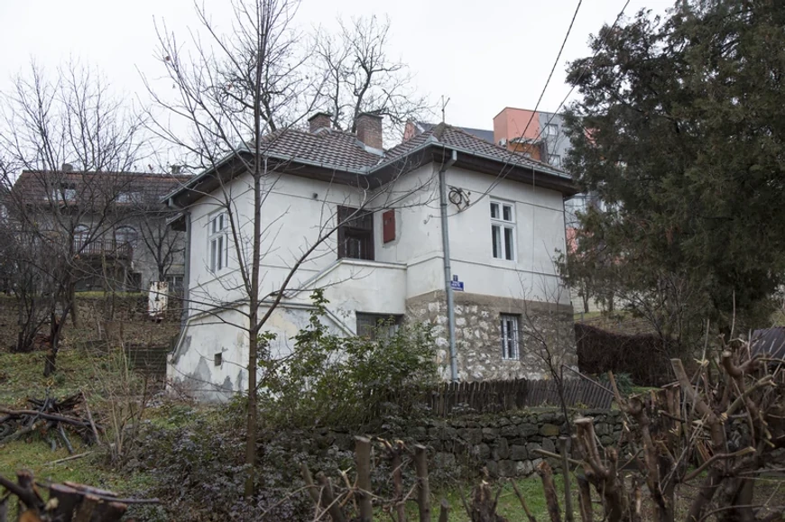 Radoš Bajić (Foto: Ringier/Aleksandar Slavković)