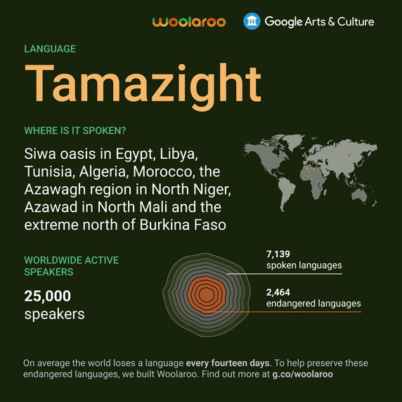 Woolaroo - nowe narzędzie do ochrony wymierających języków. Infografika o języku tamazight (rodzina języków berberyjskich)