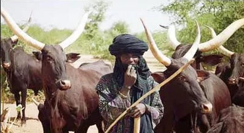 Fulani herdsman