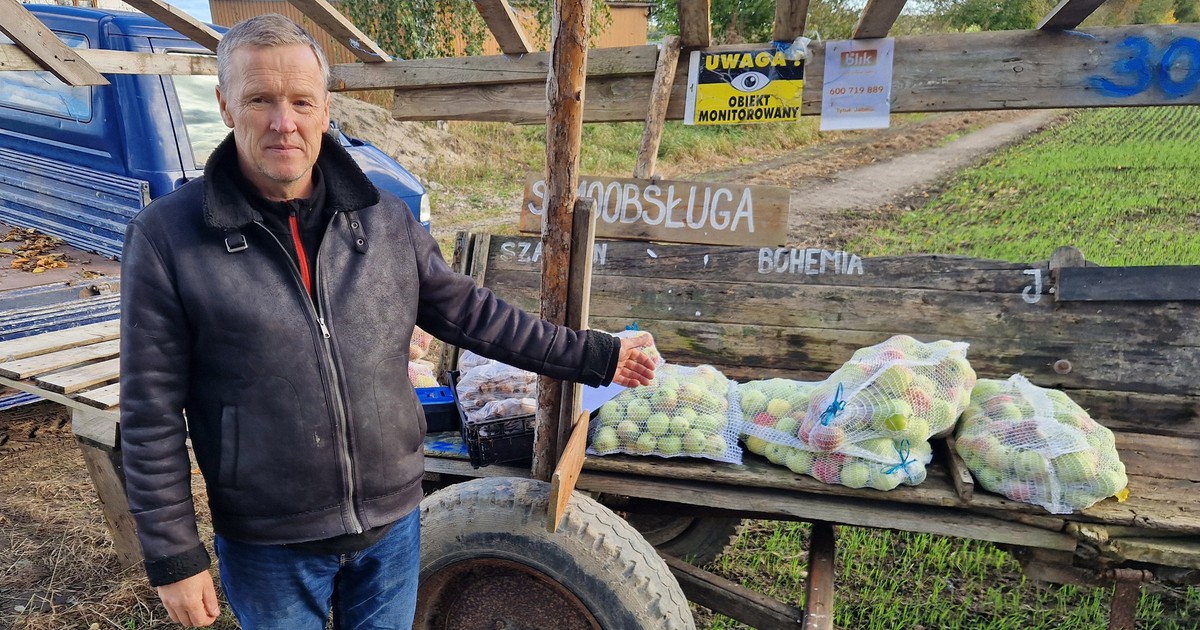 Sadownik ze Skrzeszewa wystawia jabłka na wozie. Ludzie biorą towar i płacą do... skarbonki