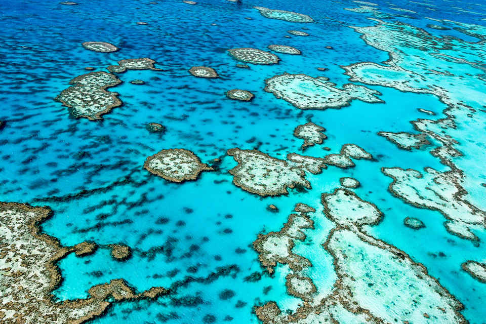 Wielka Rafa Koralowa, Australia