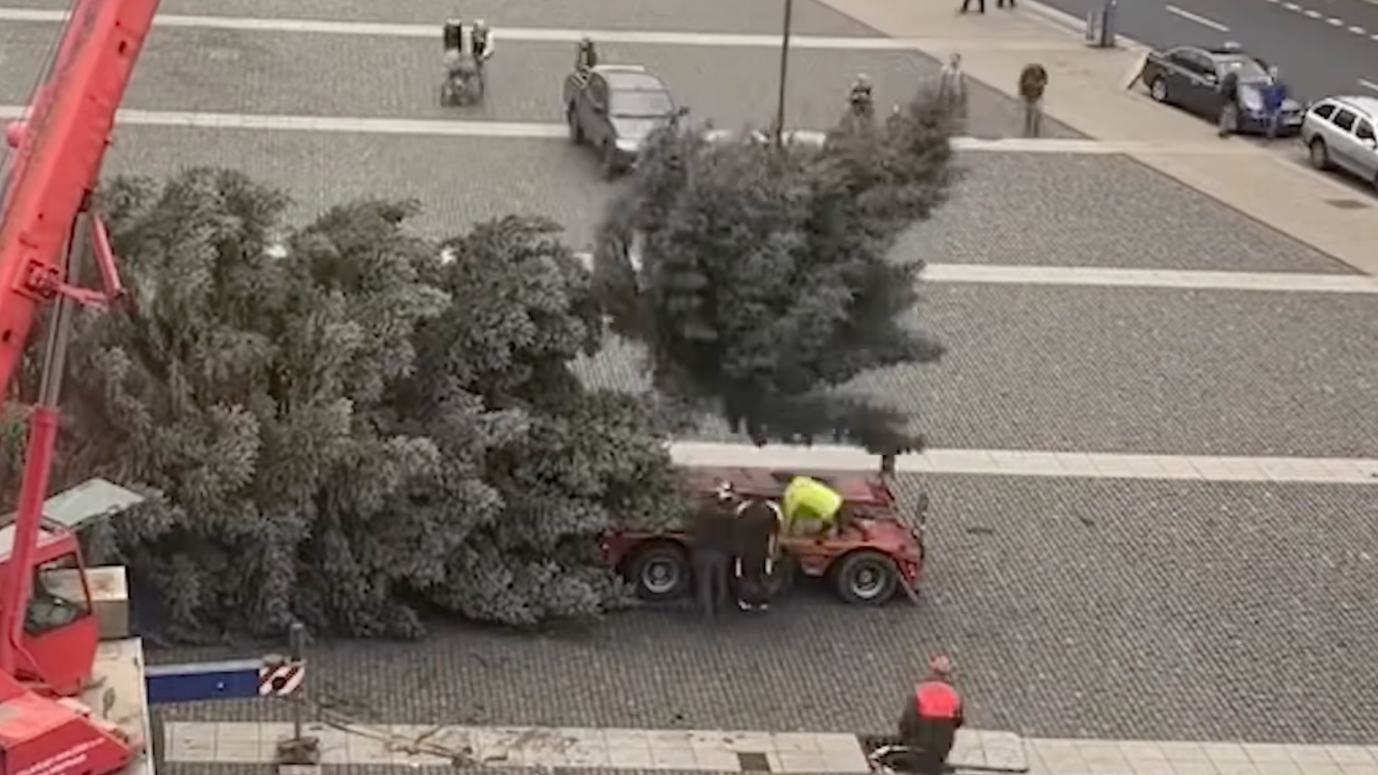 Inštalácia vianočného stromčeka v Ústí nad Labem dopadla fiaskom.