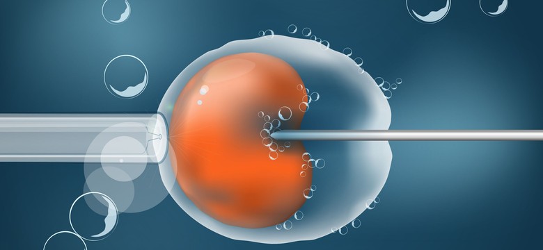 Program dofinansowania in vitro - na czym będzie polegał?