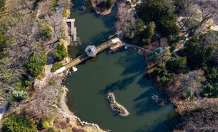 Bajkowy Ogród Japoński zaprasza od 1 kwietnia