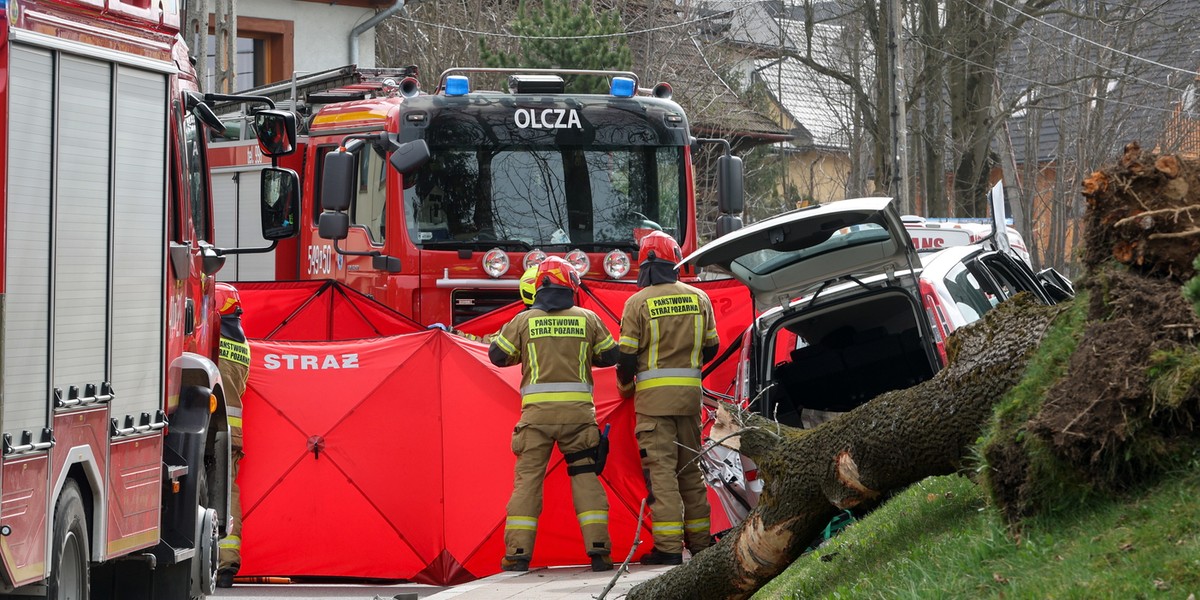 Zakopane. Auto przygniecione przez drzewo. 