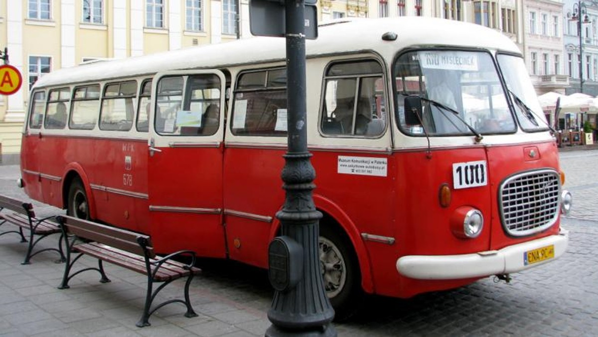 Zabytkowe autobusy Jelcz, zwane "ogórkami", powróciły na ulice Bydgoszczy. Kursują na liniach 100 i 101 między Starym Rynkiem a Myślęcinkiem oraz do dworca PKP Bydgoszcz -Wschód. Wywołują ogromną ciekawość oraz sentyment.