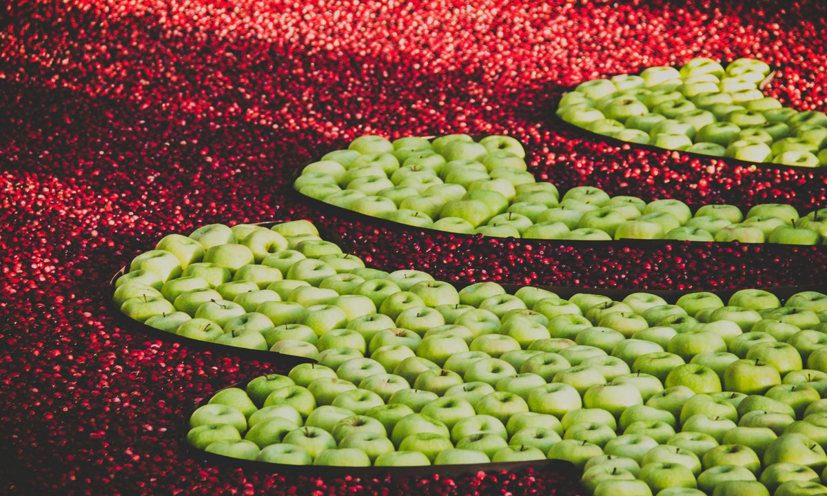 Tak czy nie? 15 nieoczywistych pytań z wiedzy o świecie