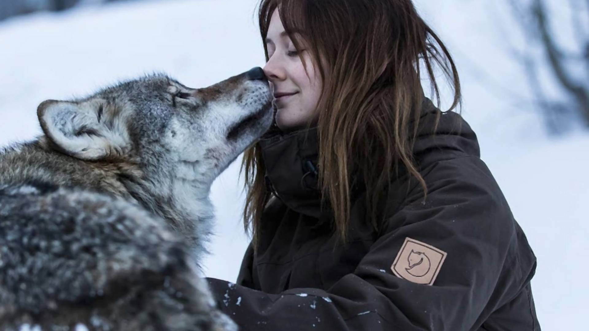 Zavirite u park u kom se turisti maze s vukovima dok gledaju polarnu svetlost