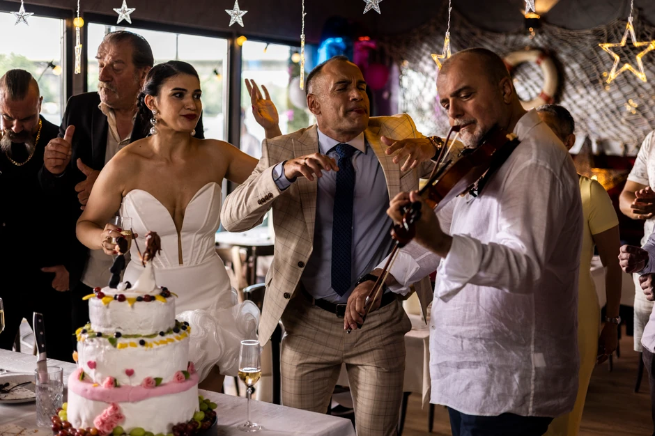 Povratak Žikine dinastije