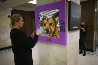 Zwierzęta też doświadczają okrucieństw wojny w Ukrainie. W Warszawie otwarto poruszającą wystawę poświęconą ich cierpieniom