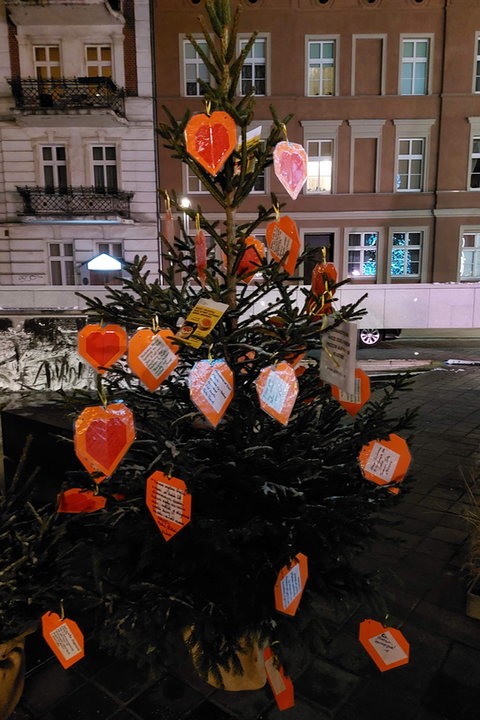 Prezydent Poznania rozświetlił miejską choinkę i otworzył Betlejem Poznańskie na pl. Kolegiackim fot. Codzienny Poznań / S. Toroszewska